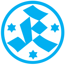 VfR曼海姆
